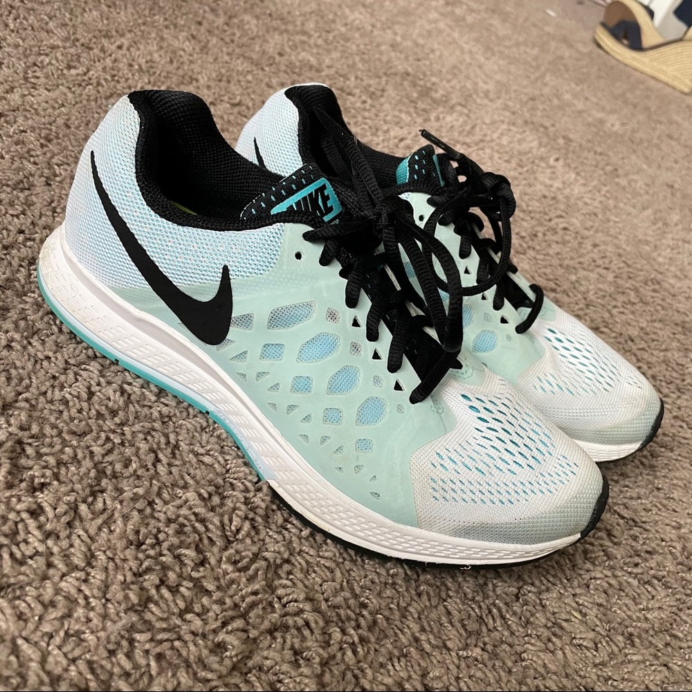 Nike zoom Pegasus 31